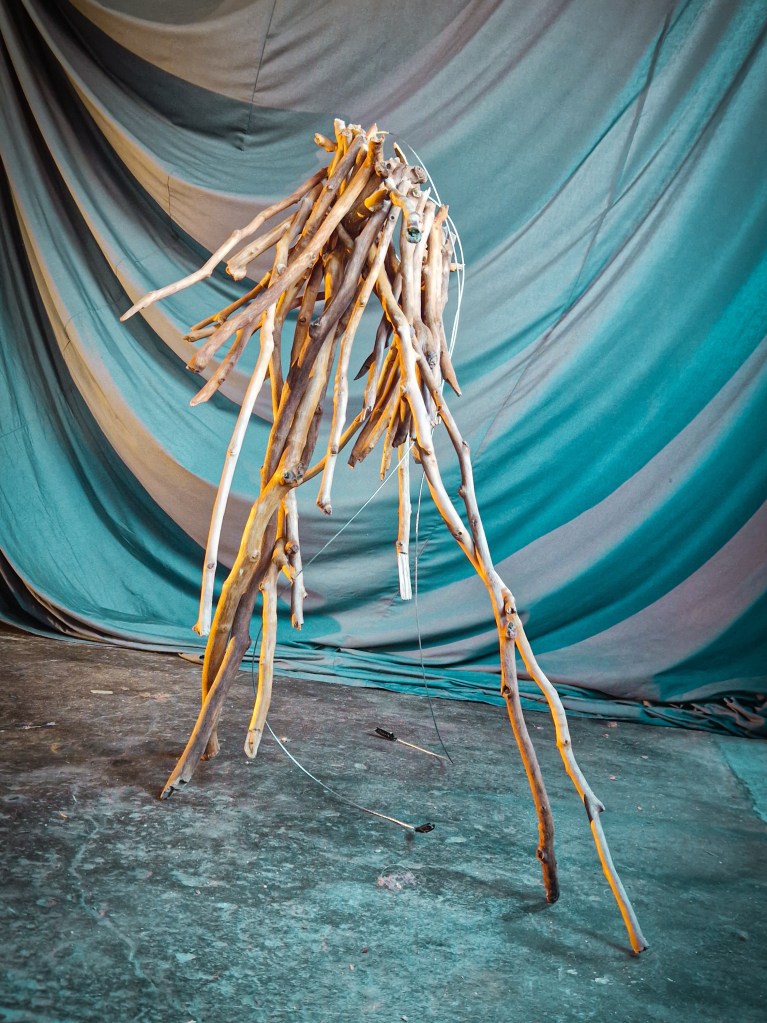 Joey Schrauwen creates using branches.