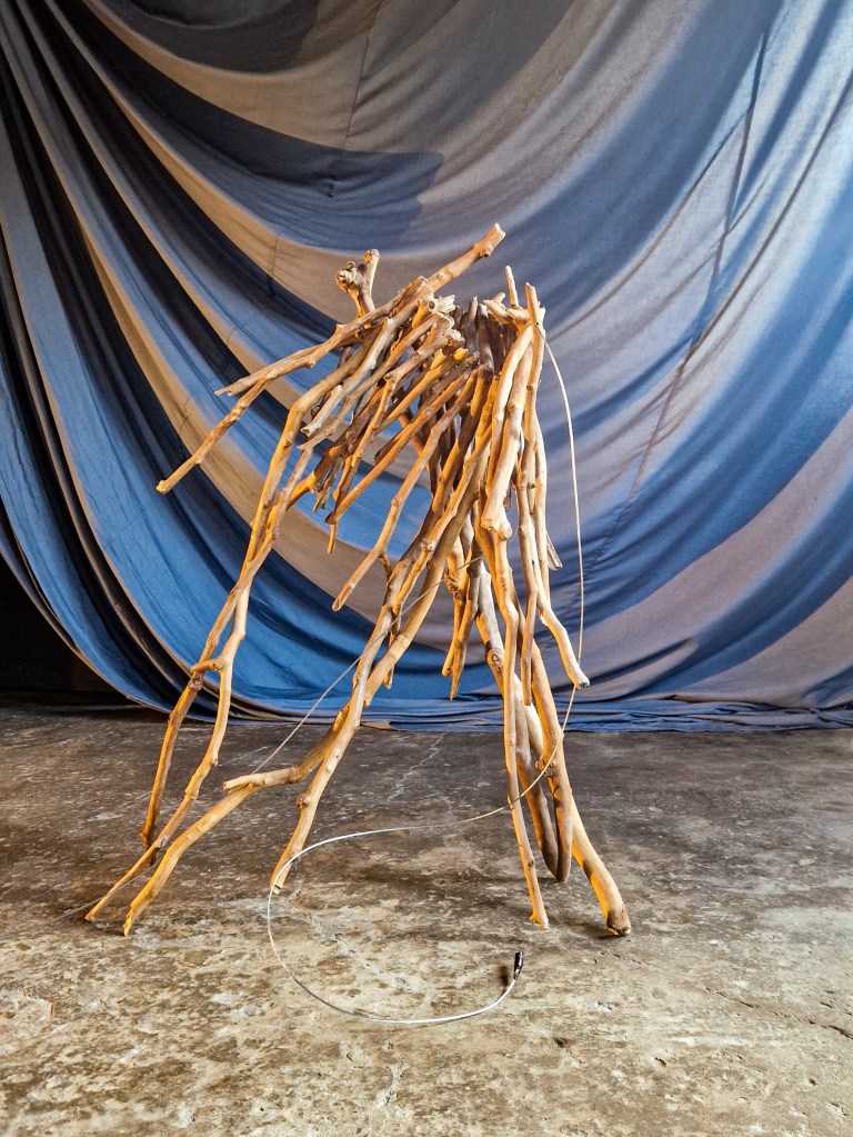 Joey Schrauwen creates using branches.