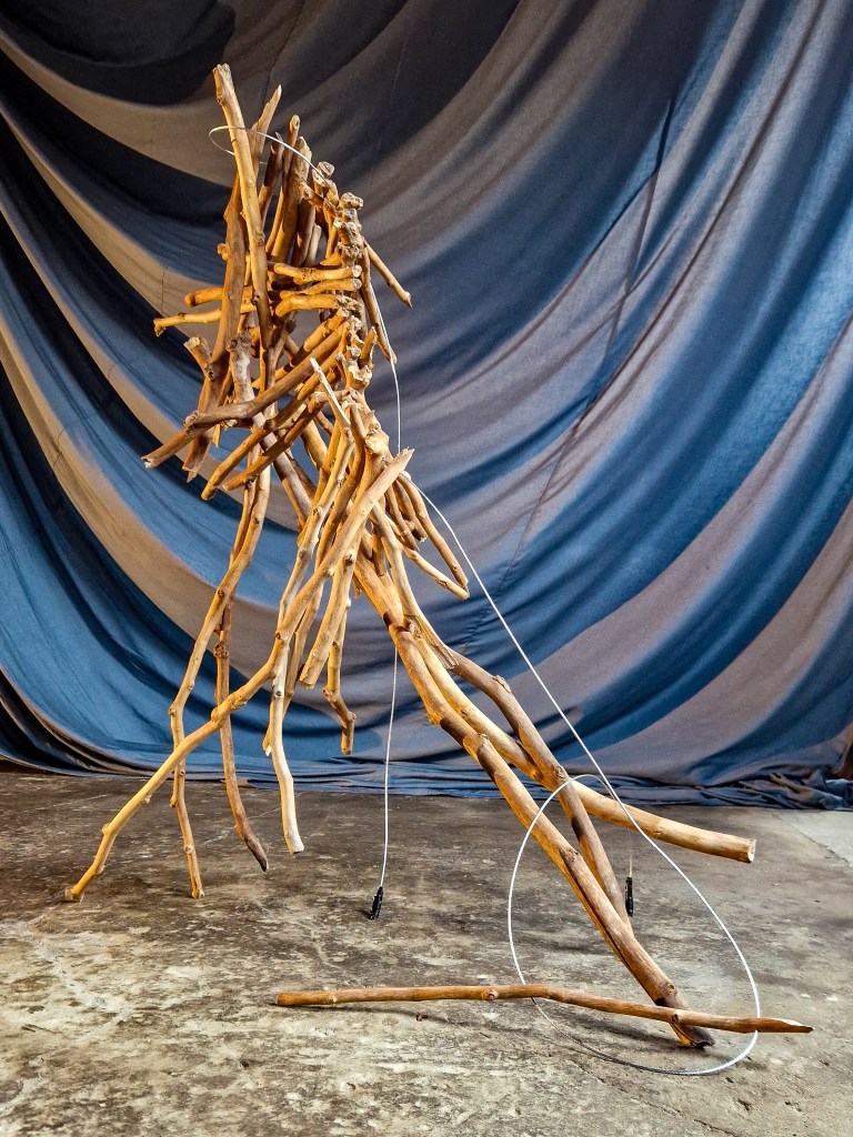 Joey Schrauwen creates using branches.